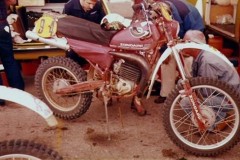 301482_3505_1981-isde-elba-zy-ndapp