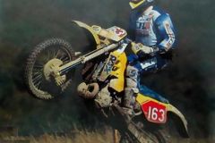 163-Jocke-Hedendahl-Suzuki-RMX250-Trophy-Team-Swedeen