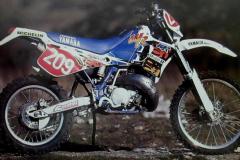 Nr.209-Stephane-Peterhansel-Yamaha-WR250Z